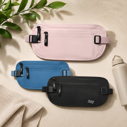 Anti Theft Travel Belt